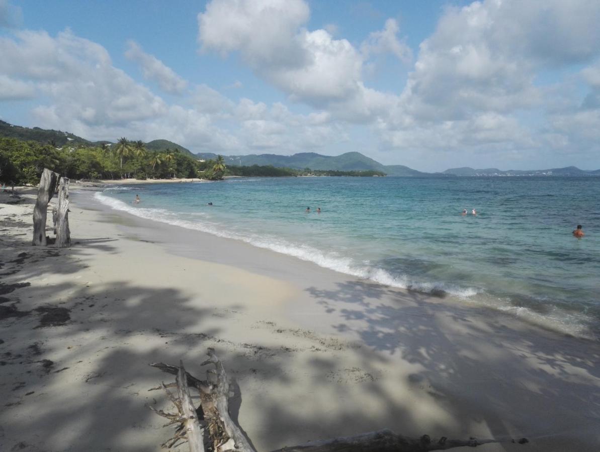 Studio - Le Ti-Colibri - Plages Et Piscine A Sainte-Luce - Martinique - Antilles Экстерьер фото