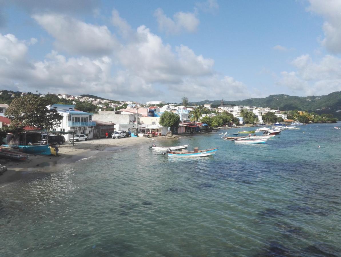 Studio - Le Ti-Colibri - Plages Et Piscine A Sainte-Luce - Martinique - Antilles Экстерьер фото